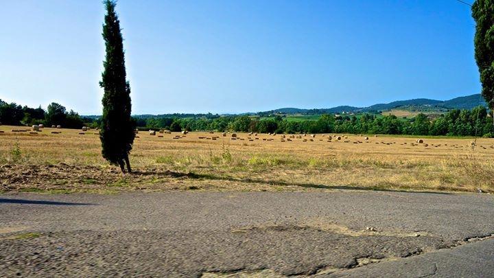 Appartamento Old England In Chianti 蒙特斯佩尔托利 外观 照片
